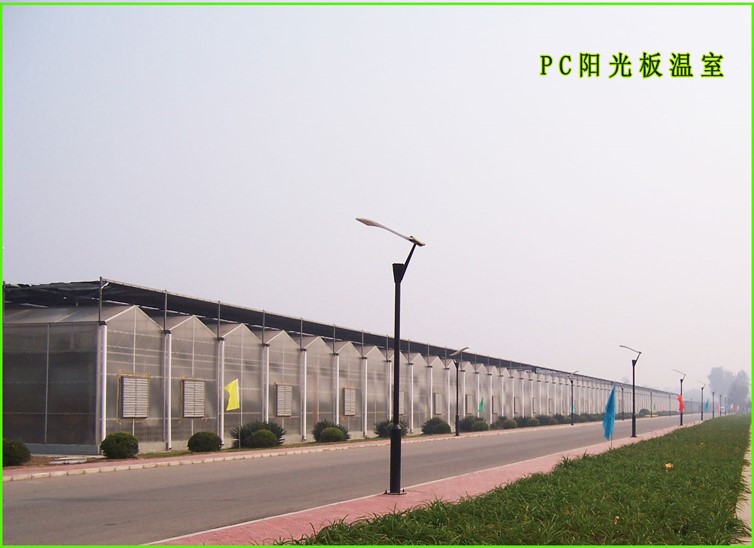 阳光板温室
